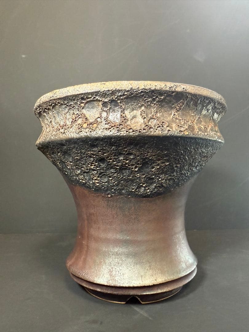 Wild Heaven 高級 陶器鉢 作家鉢 アガベ 塊根植物 観葉植物