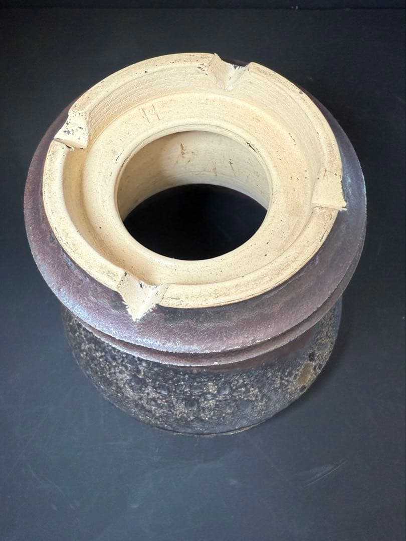 Wild Heaven 高級 陶器鉢 作家鉢 アガベ 塊根植物 観葉植物