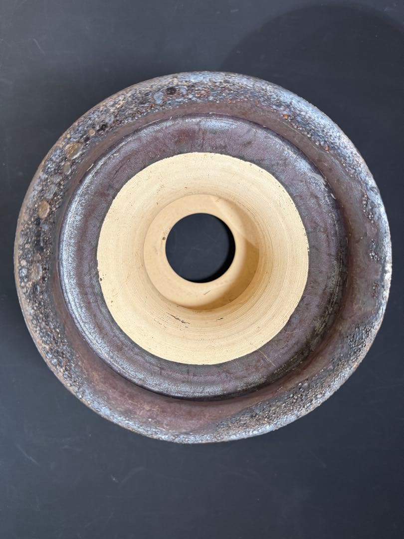 Wild Heaven 高級 陶器鉢 作家鉢 アガベ 塊根植物 観葉植物