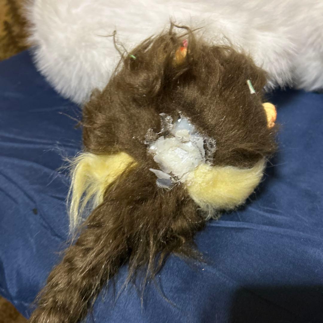 業者 破損箇所 確認用 【購入厳禁】