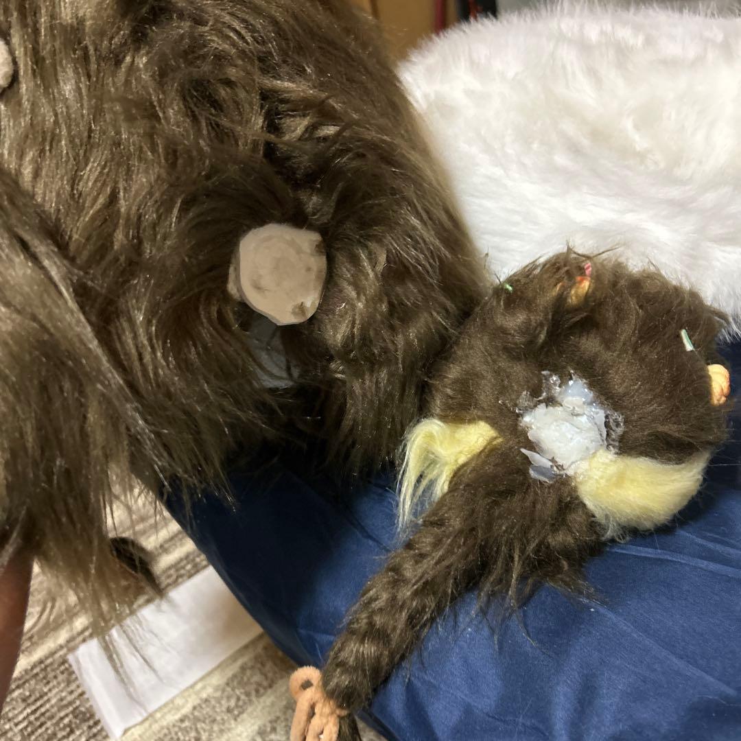 業者 破損箇所 確認用 【購入厳禁】