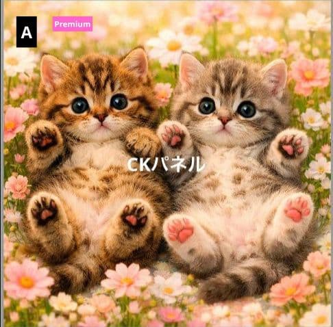 ♡セミオーダー受付中♡ へそ天にゃんこ 猫 642 超レアPremium - メルカリ