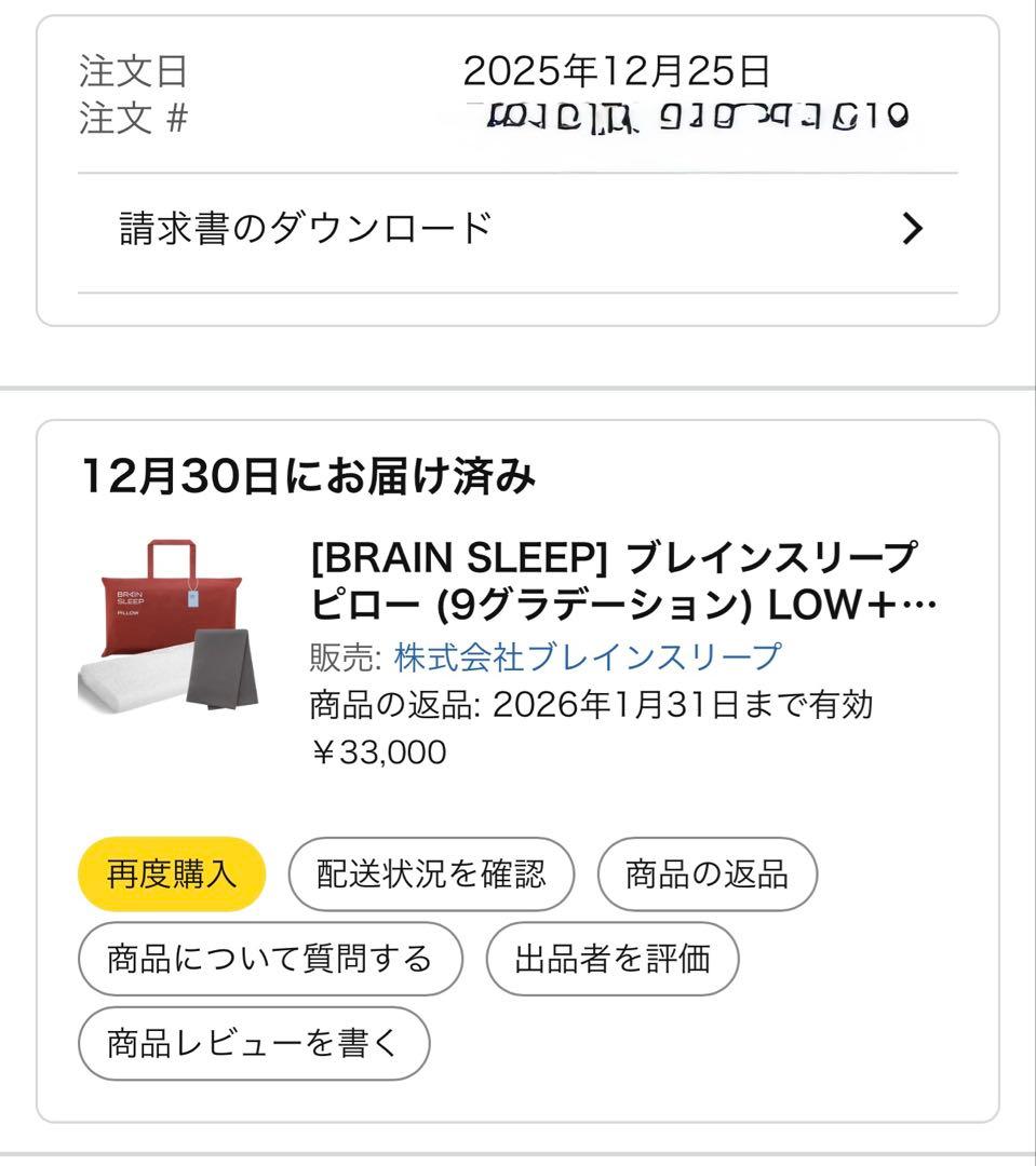 一日のみ使用　ブレインスリープ ピロー (9グラデーションLOW＋ピローカバー