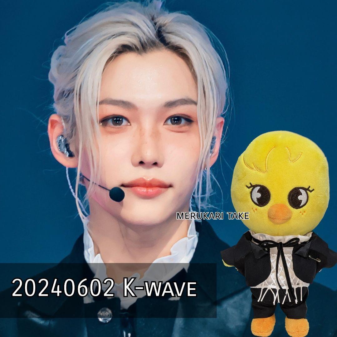 【skzooのお洋服屋さん】オーダー専用/20240602 k-wave