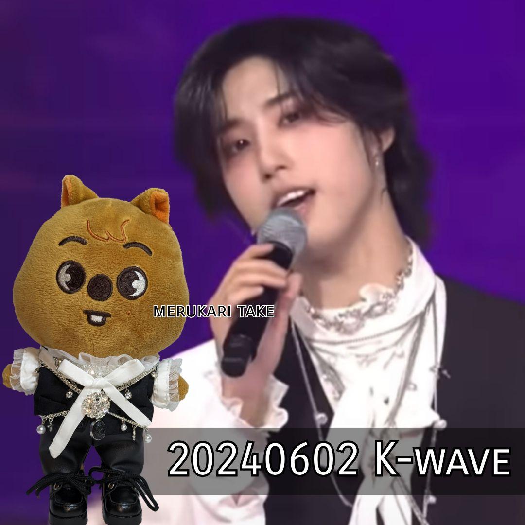 【skzooのお洋服屋さん】オーダー専用/20240602 k-wave