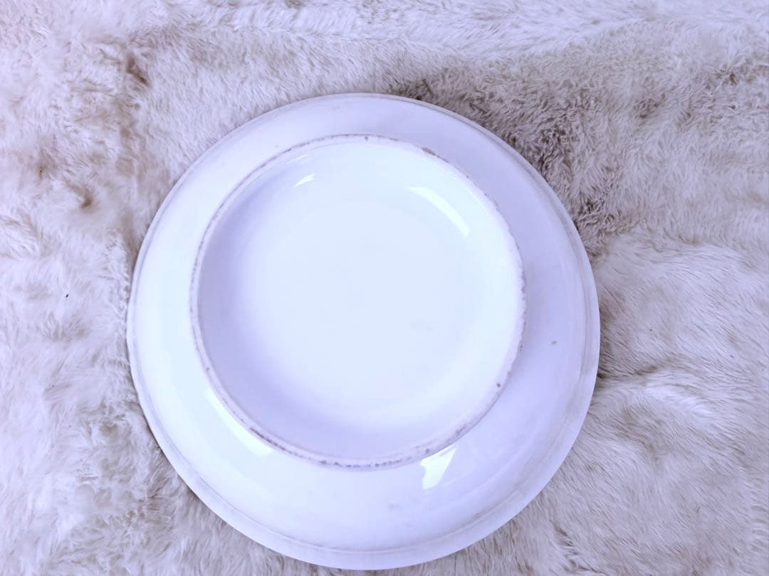 食品サンプル ワンタンメン 日本製 職人制作 高精度 リアル模型 直径23cm