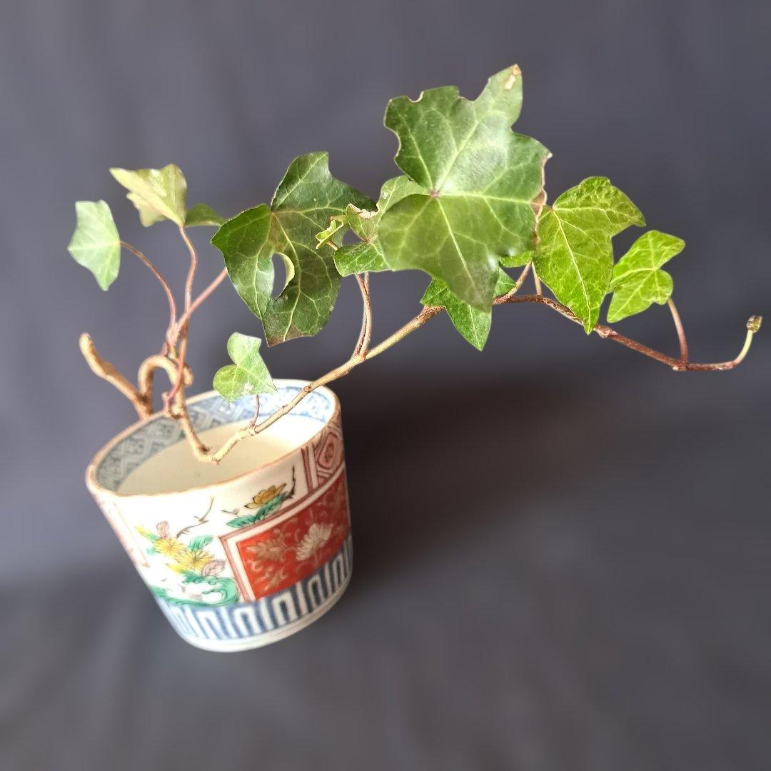 菊と角(かく)のデザイン！」 古伊万里蕎麦猪口(直径8.5cm ) 骨董アンテ