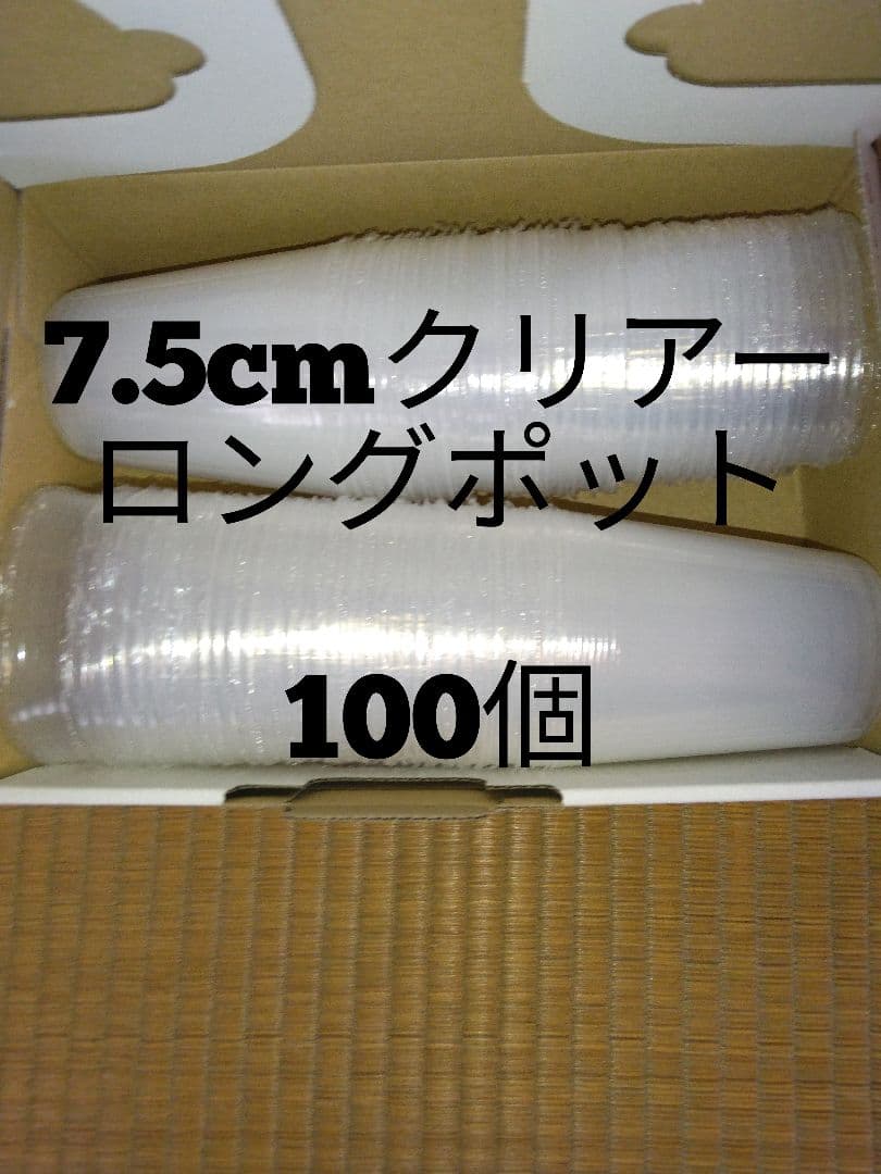 ロングクリアーポット　2.5号　7.5cm　いちじくの枝　５０本