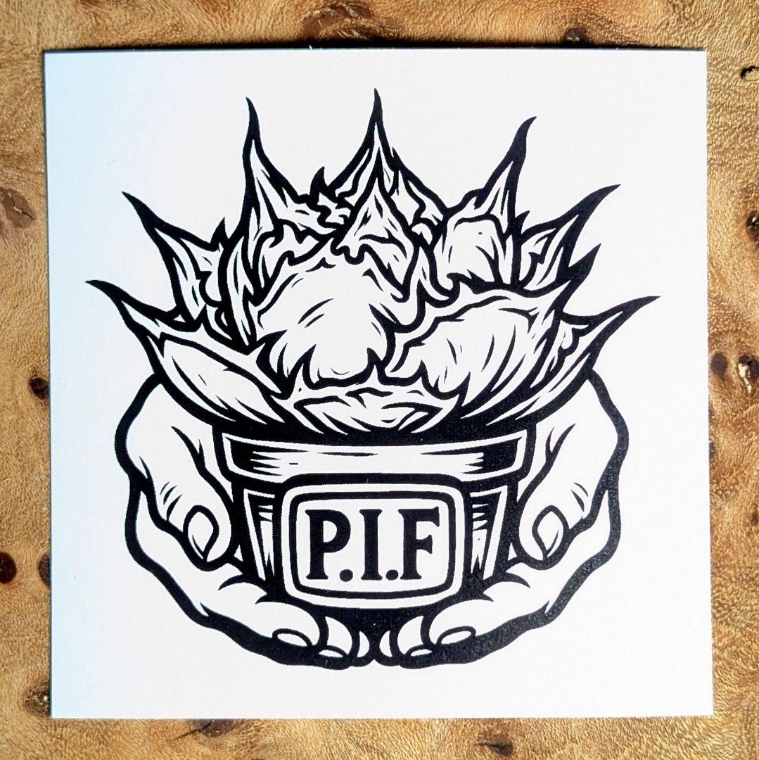 k*o様 【 特価 超優良血統】\"海王\"　アガベ　チタノタ　胴切り天芽子株