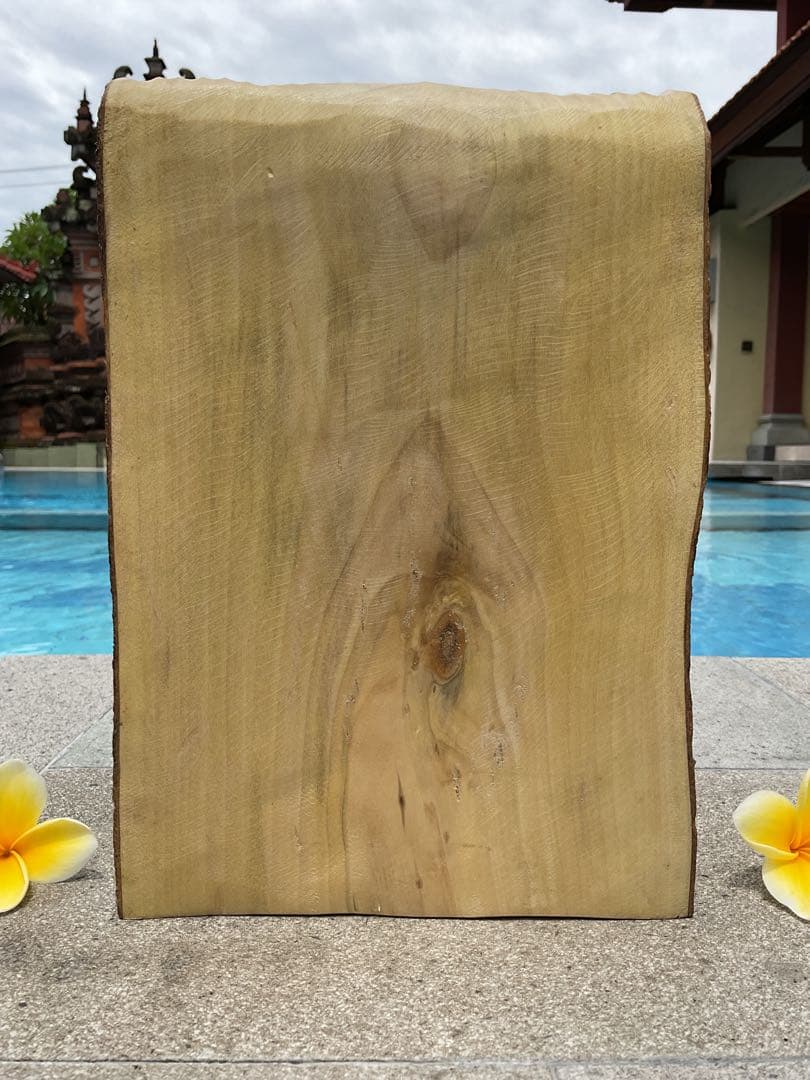 「特別価格」ガネーシャ像(夢をかなえる神様)木彫り H 25.5cm