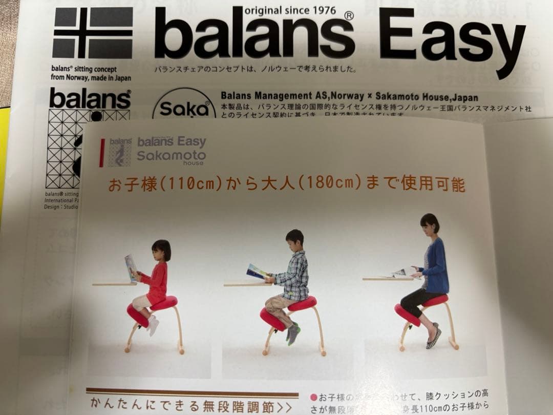 【美品】カバー付／箱付正規品 バランスチェア（サカモトハウス）バランスチェア