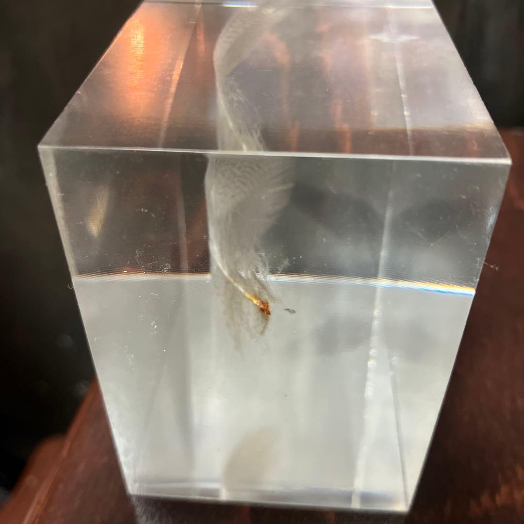 倉俣史朗 ShiroKURAMATA Floating Feather羽根の封印