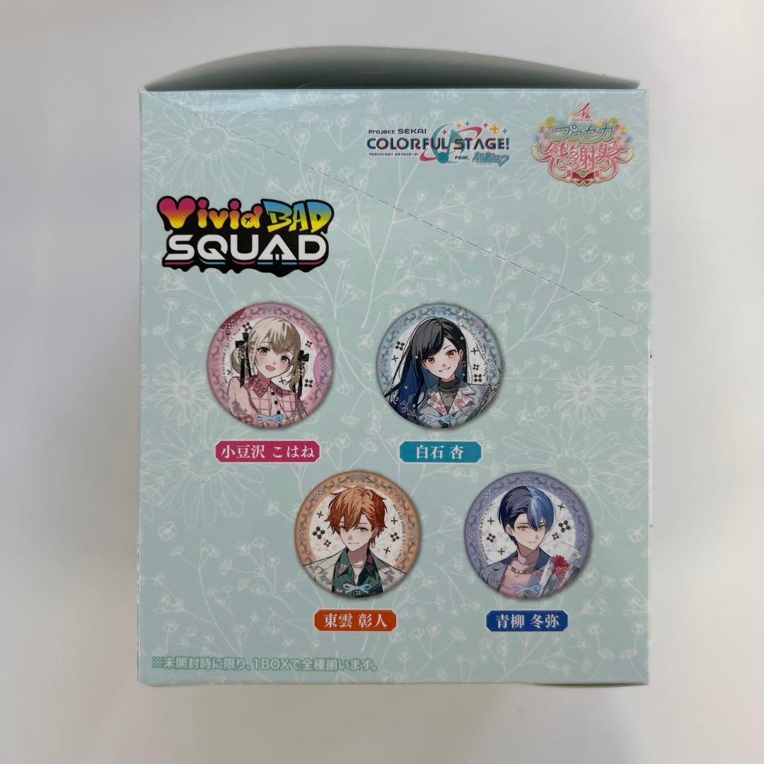 プロジェクトセカイ オーロラ箔押し缶バッジコレクション12箱+アクスタ