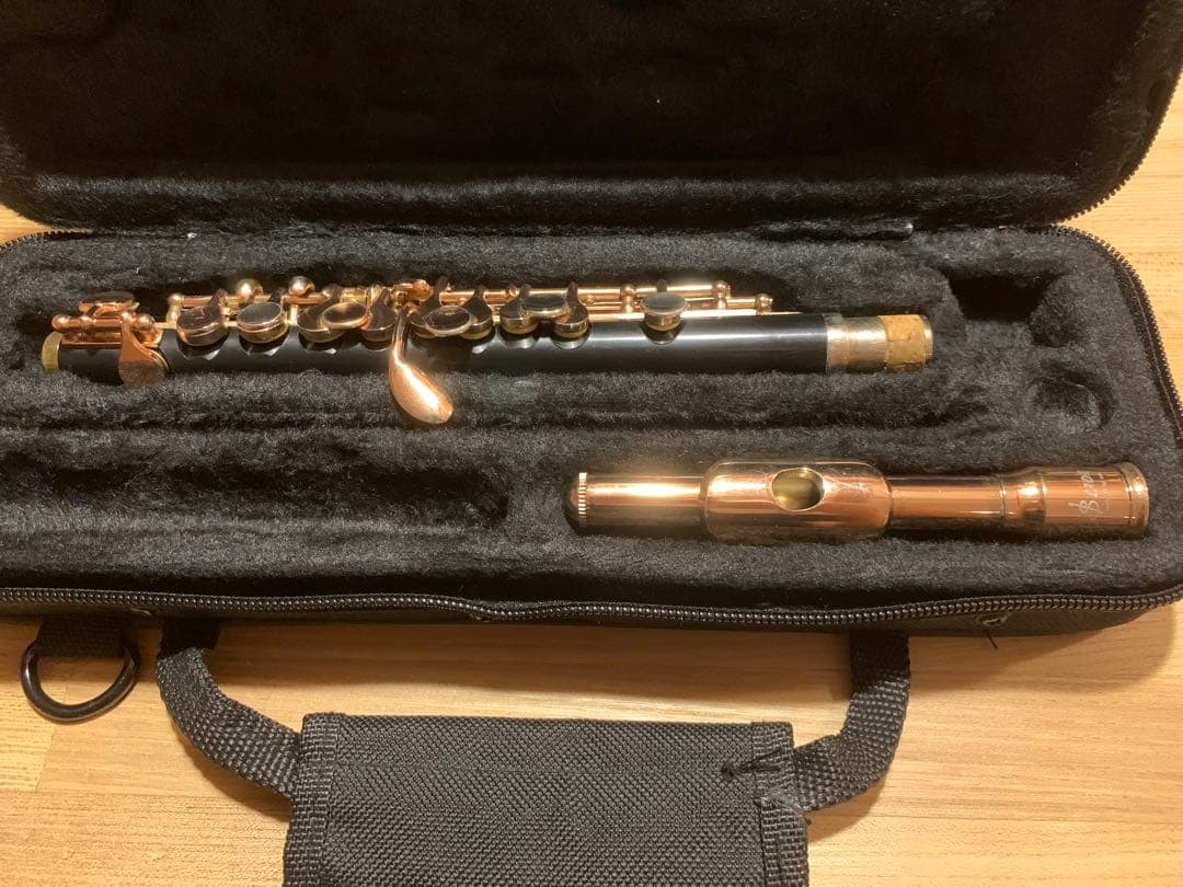 SLADE ピッコロ 本体 ケース付き - メルカリ