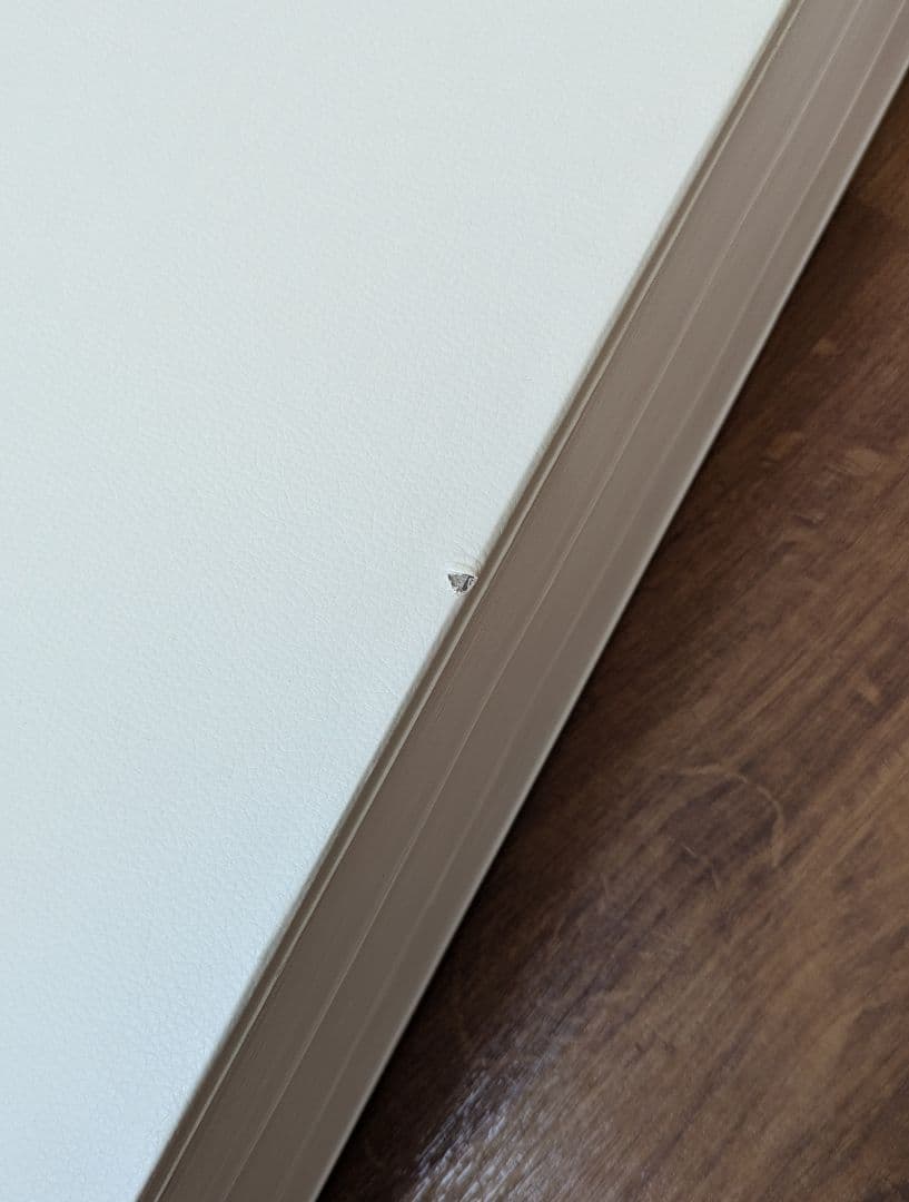 HINTON 折りたたみ式シェルフ ホワイト 展示会POPUPに - メルカリ