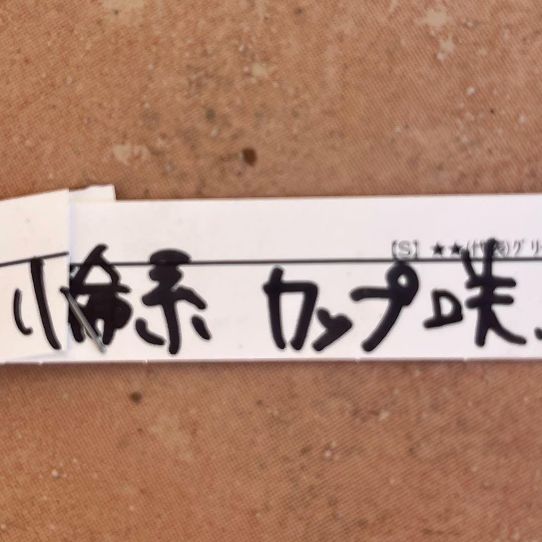 クリスマスローズ　広瀬園芸