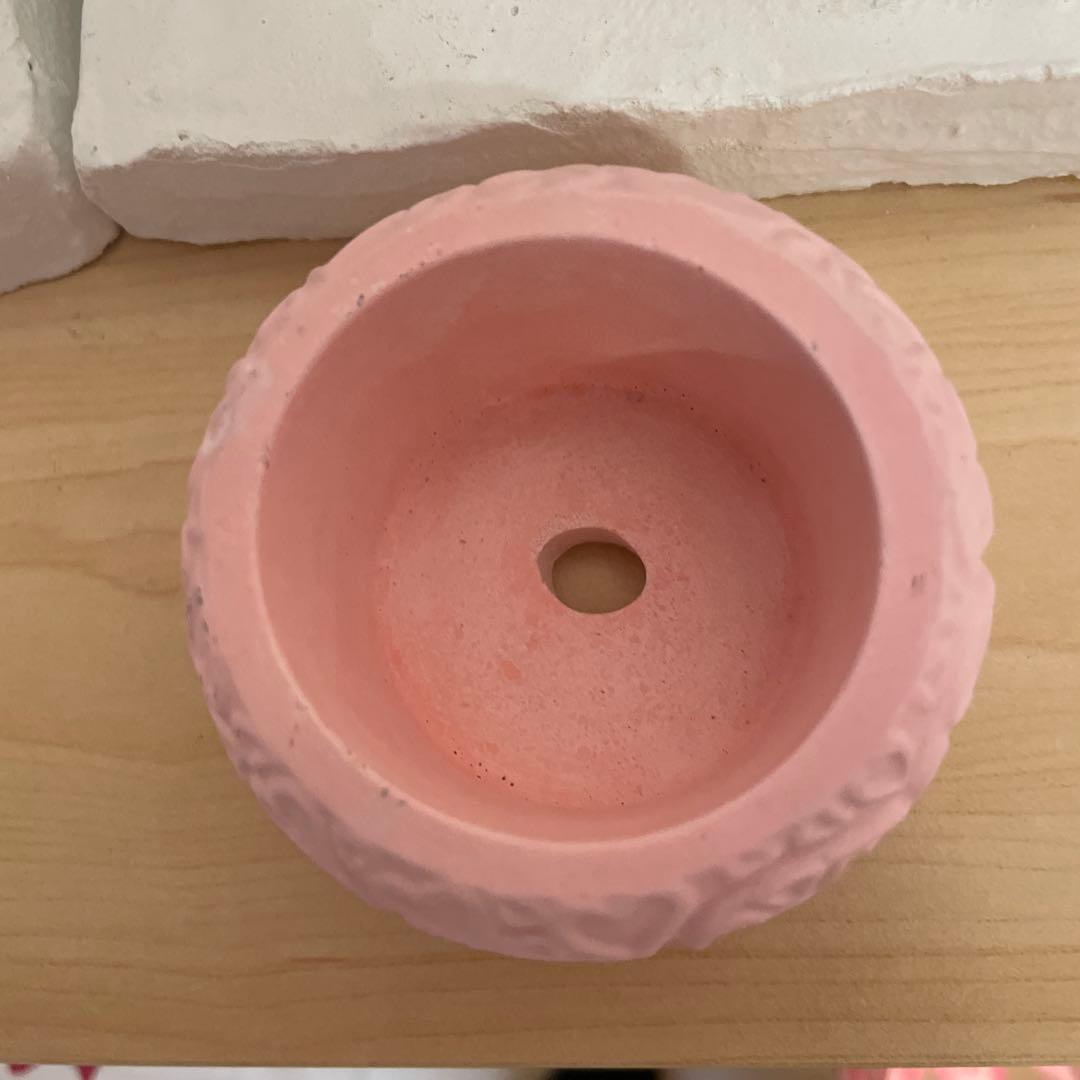 400☆Heart鉢pink モルタル雑貨 （お任せ植物付き）168 - メルカリ