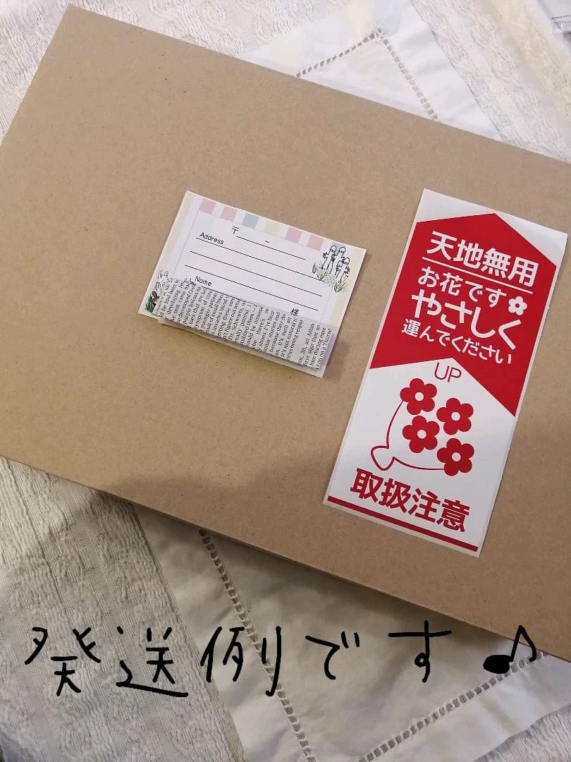 もにょ 【早割価格 】2021年✩.*˚ ドライフラワーいっぱい！ しめ縄