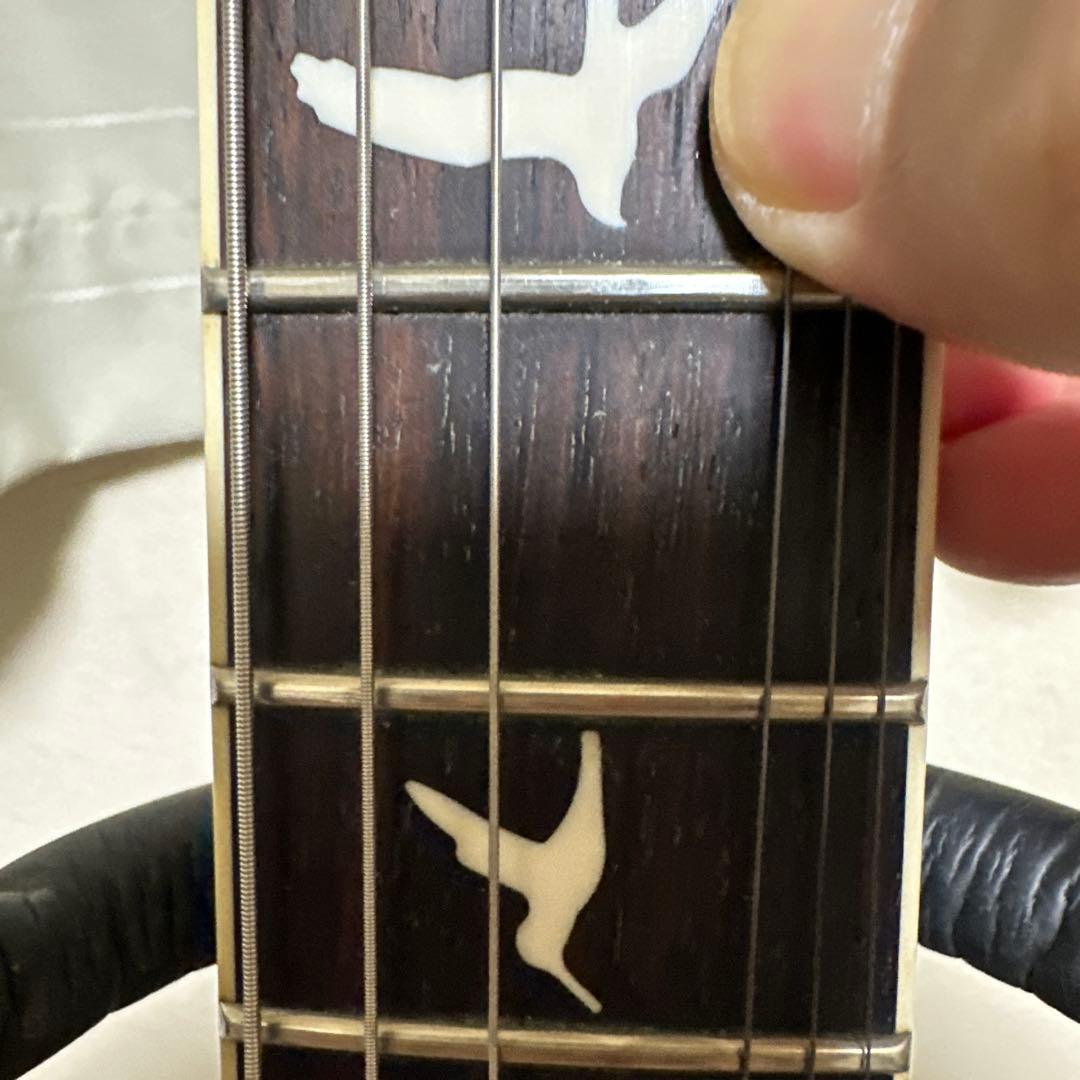 ギター PRS S2 McCarty 594 singlecut