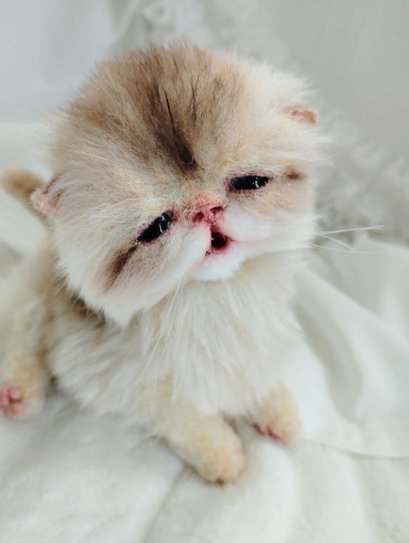 生後２週間♡ふにゃくた♡子猫ちゃん♡アートドール♡ぬいぐるみ♡