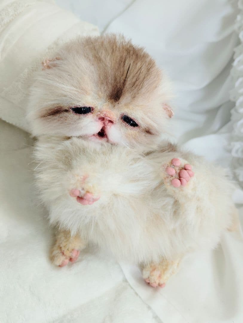 生後２週間♡ふにゃくた♡子猫ちゃん♡アートドール♡ぬいぐるみ♡