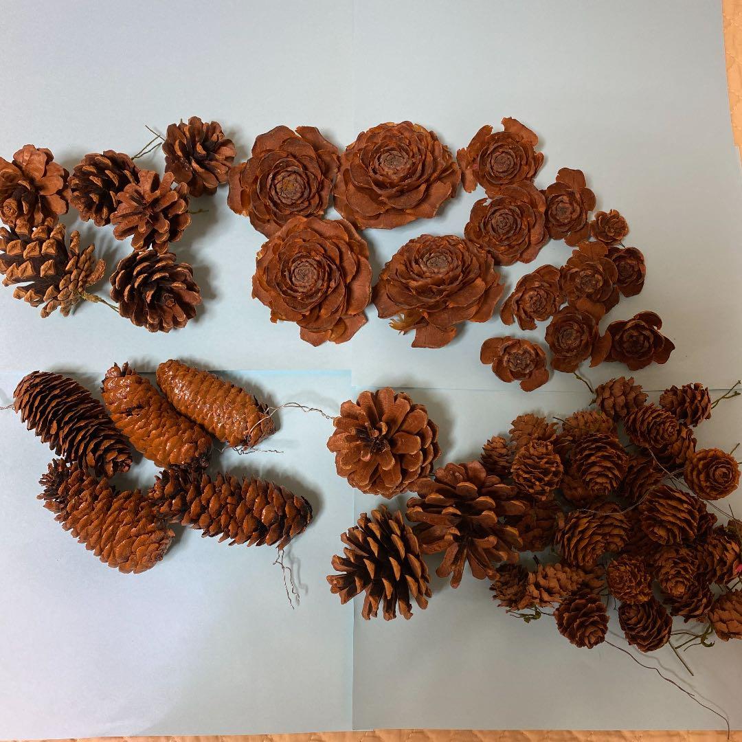 松ぼっくり・松かさ 種類色々セット - メルカリ