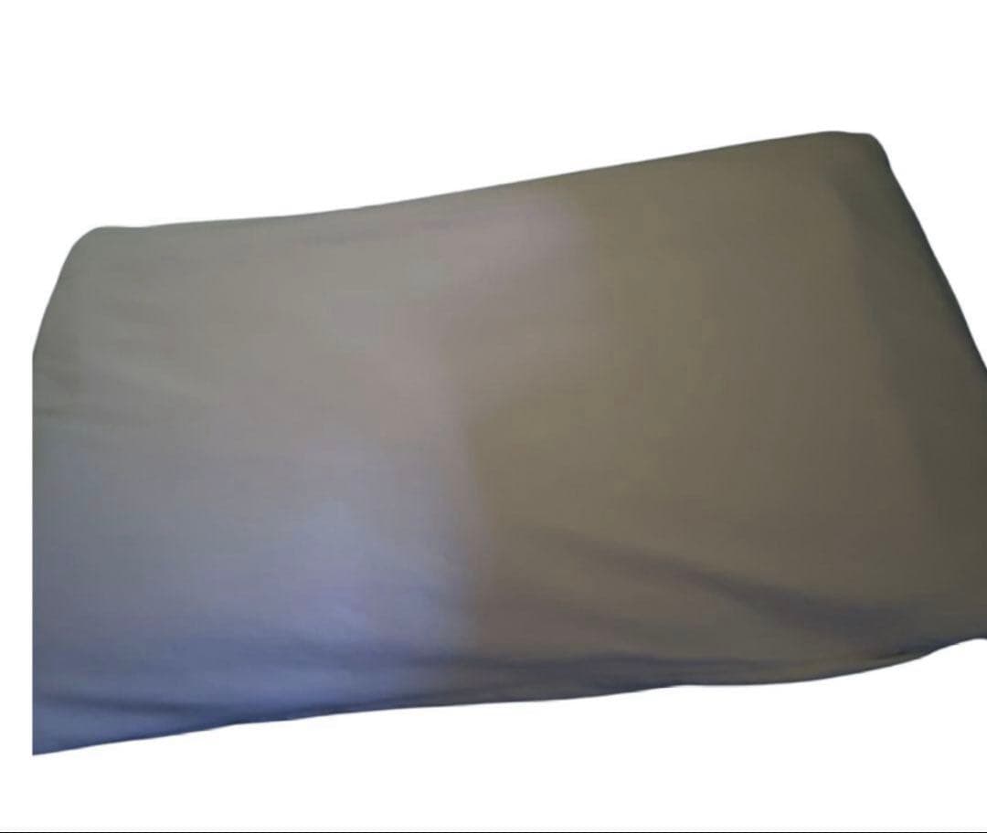 枕　ブレインスリープ　ピロー STANDARD