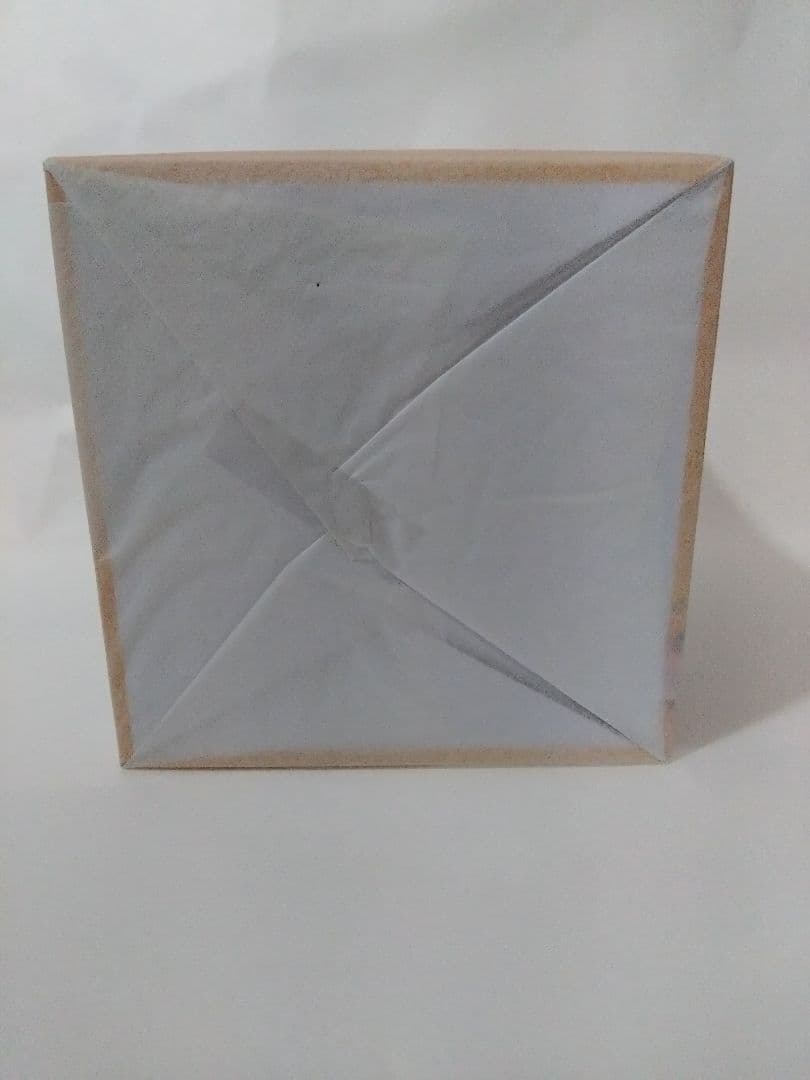 新品未開封　宇崎ちゃんは遊びたい！ ドリームテック 宇崎 柳【牛柄ビキニ】