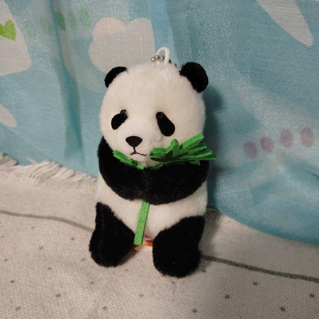 上野動物園 パンダ ぬいぐるみ マスコット シャオシャオ レイレイ