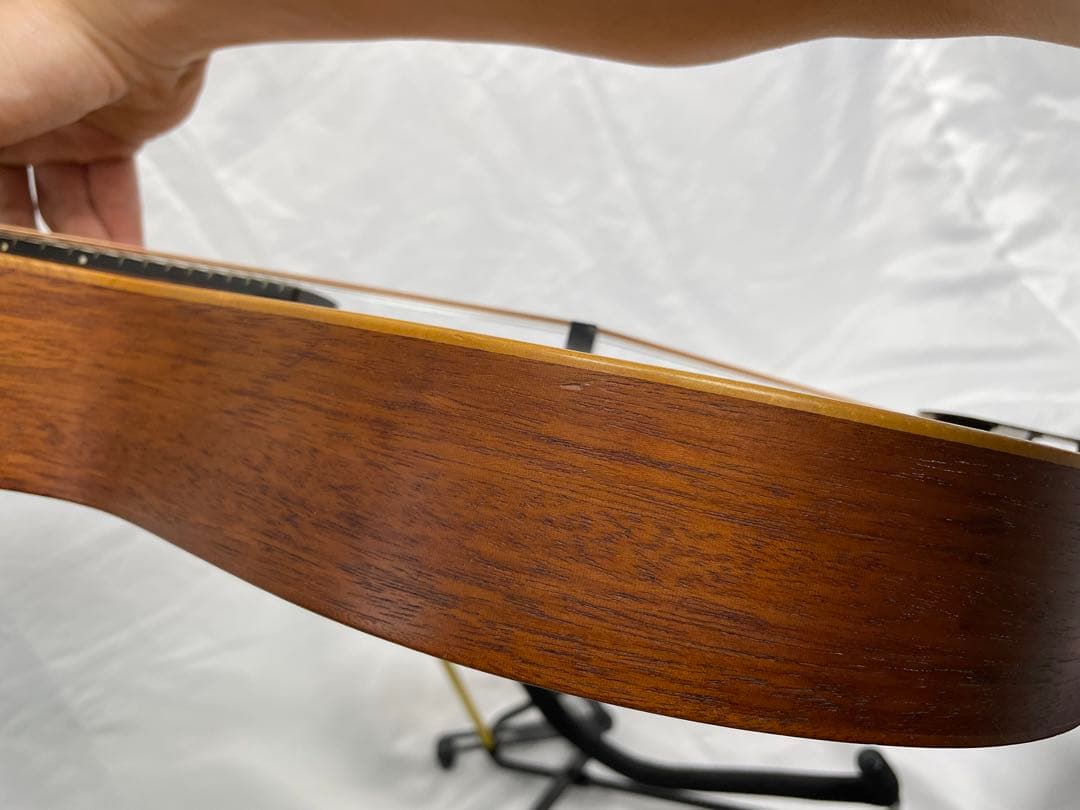 タコマ/Tacoma フラットマンドリン m-1 - メルカリ