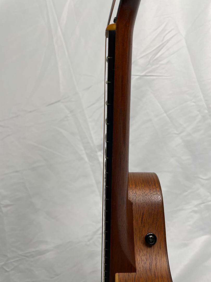 タコマ/Tacoma フラットマンドリン m-1 - メルカリ