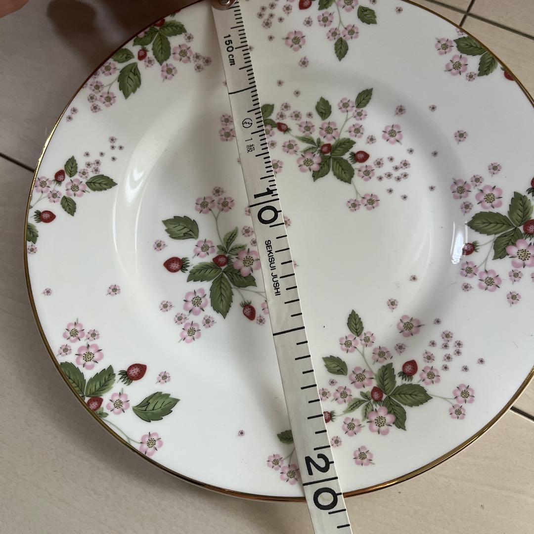  WILD STRAWBERRY BLOOM 皿