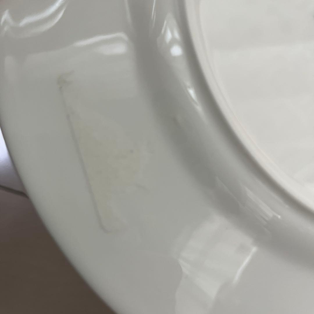  WILD STRAWBERRY BLOOM 皿