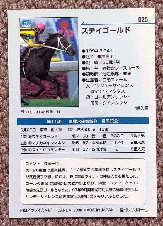 第114回目黒記念 勝馬ステイゴールド単勝馬券・レープロ・カードセット