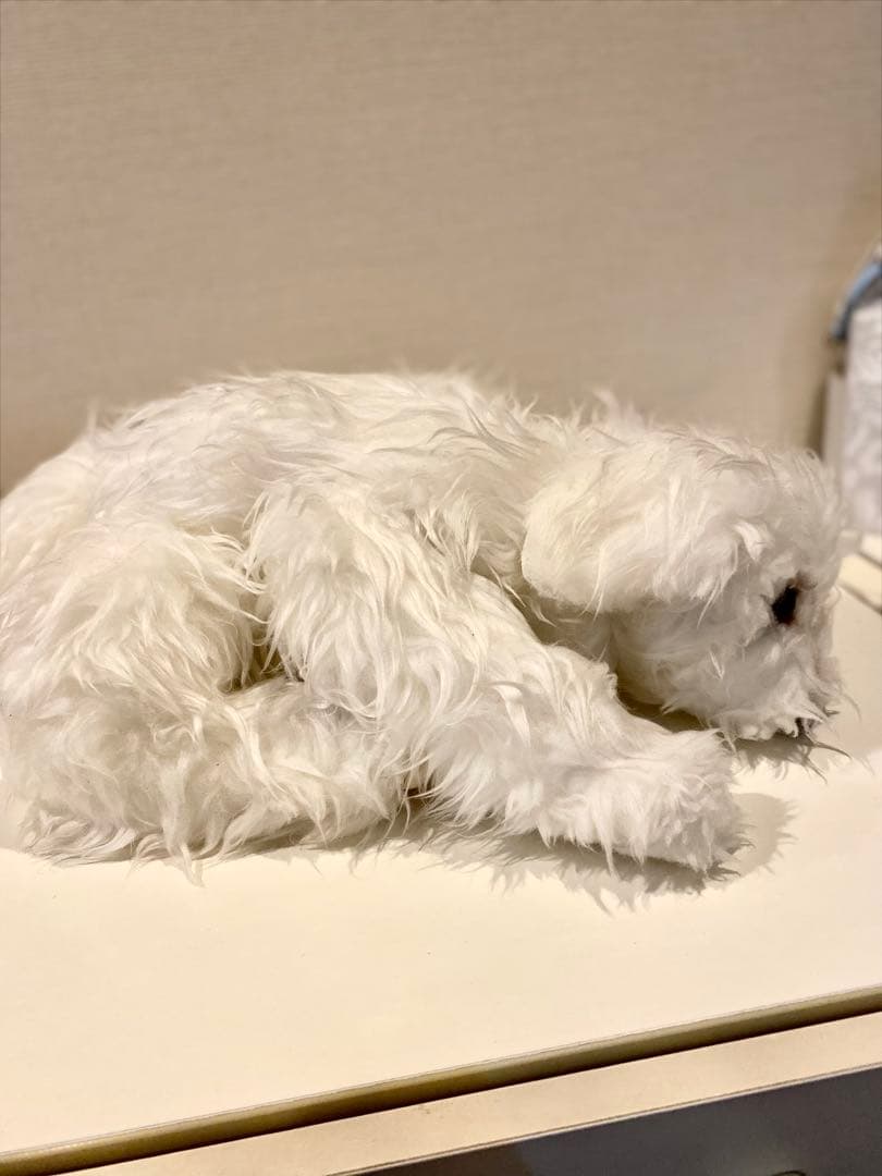 作家 マルチーズ ぬいぐるみの通販｜endoscopyonair.com