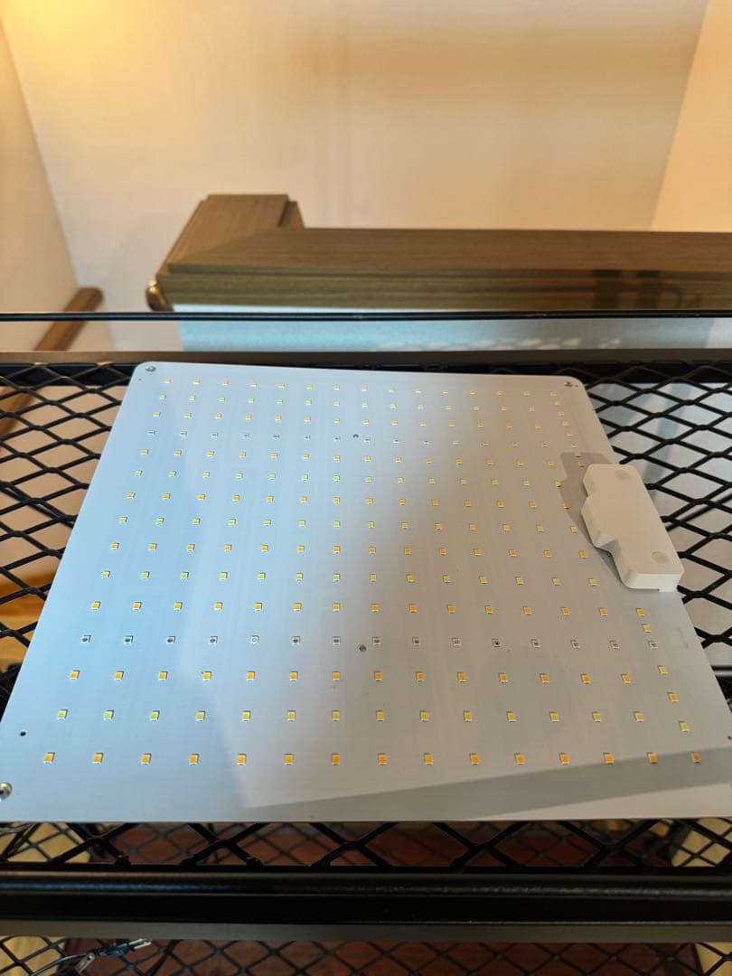 アイアンシェルフ 植物棚 アガベ ライトレール、LEDパネル、サーキュレーター付