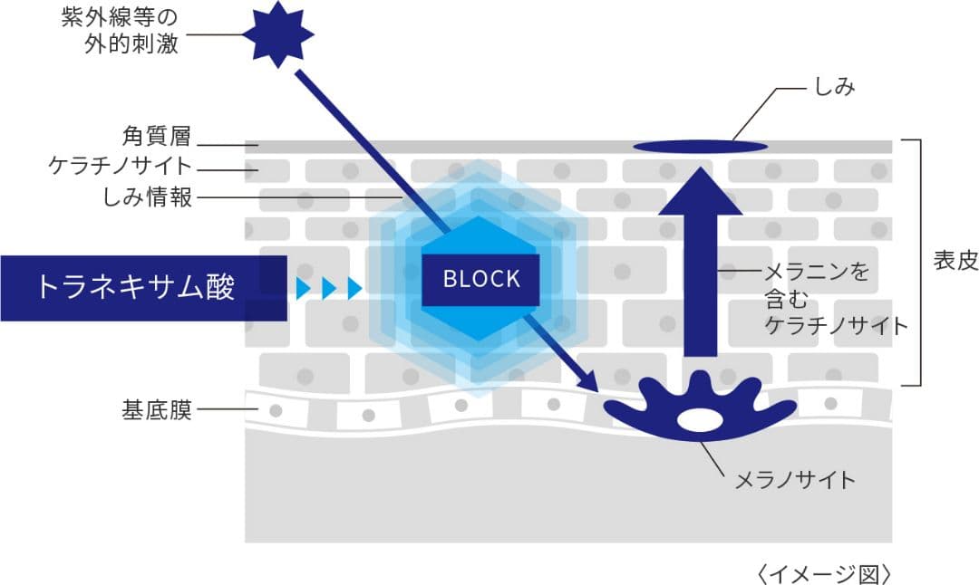 トランシーノ化粧水乳液シートマスククリーム 新品セット ミルクローション 美白