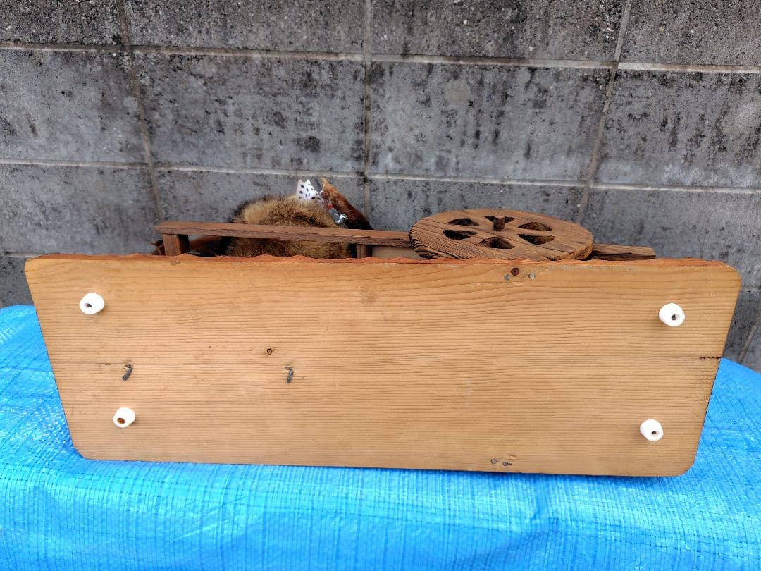 タヌキの剥製 置物 台車付き（俵）