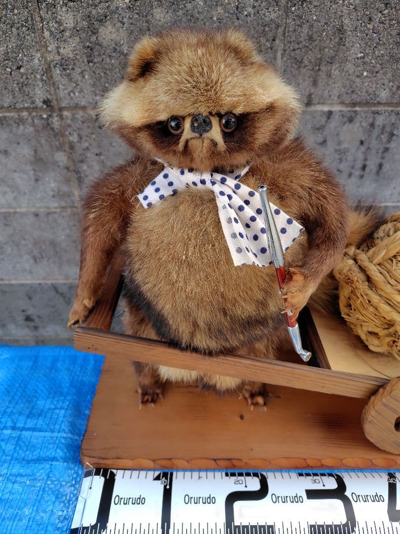 タヌキの剥製 置物 台車付き（俵）