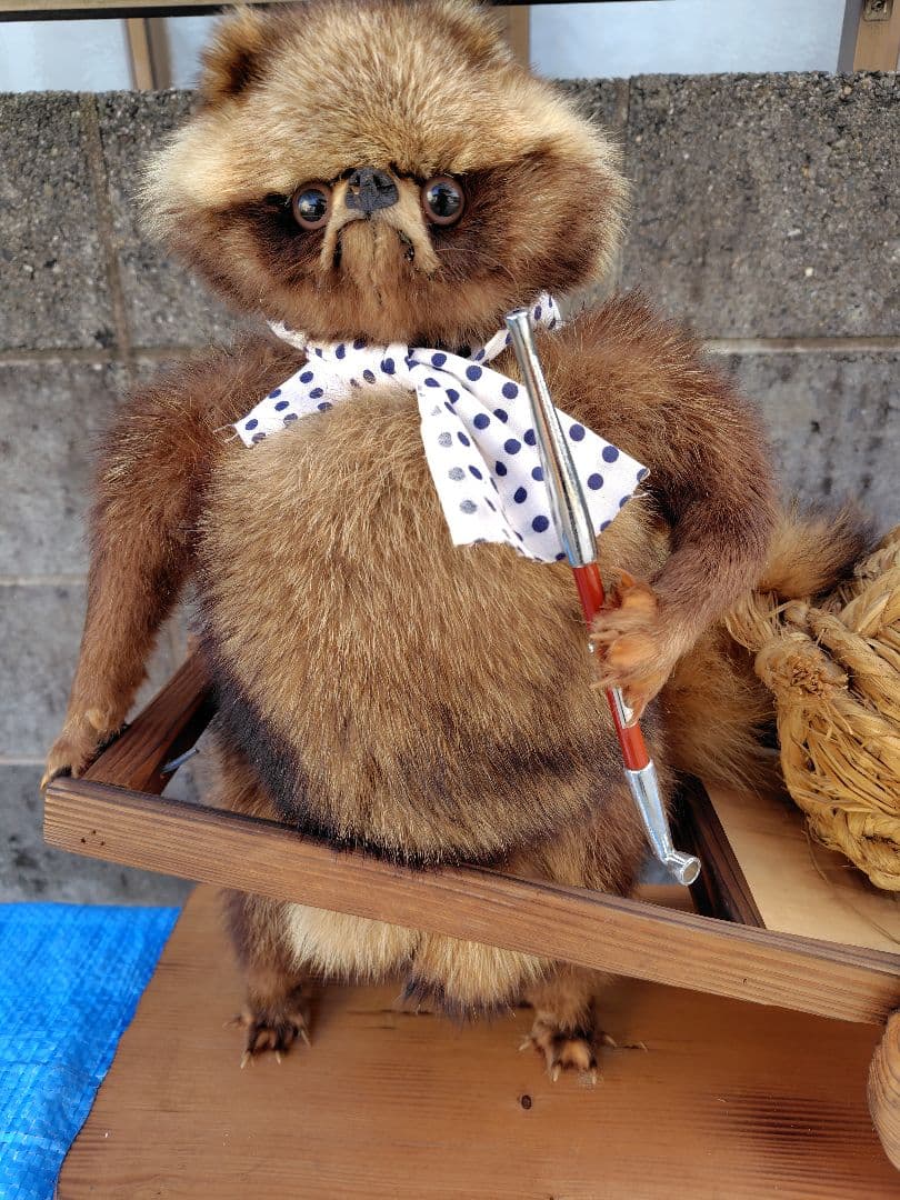 タヌキの剥製 置物 台車付き（俵）