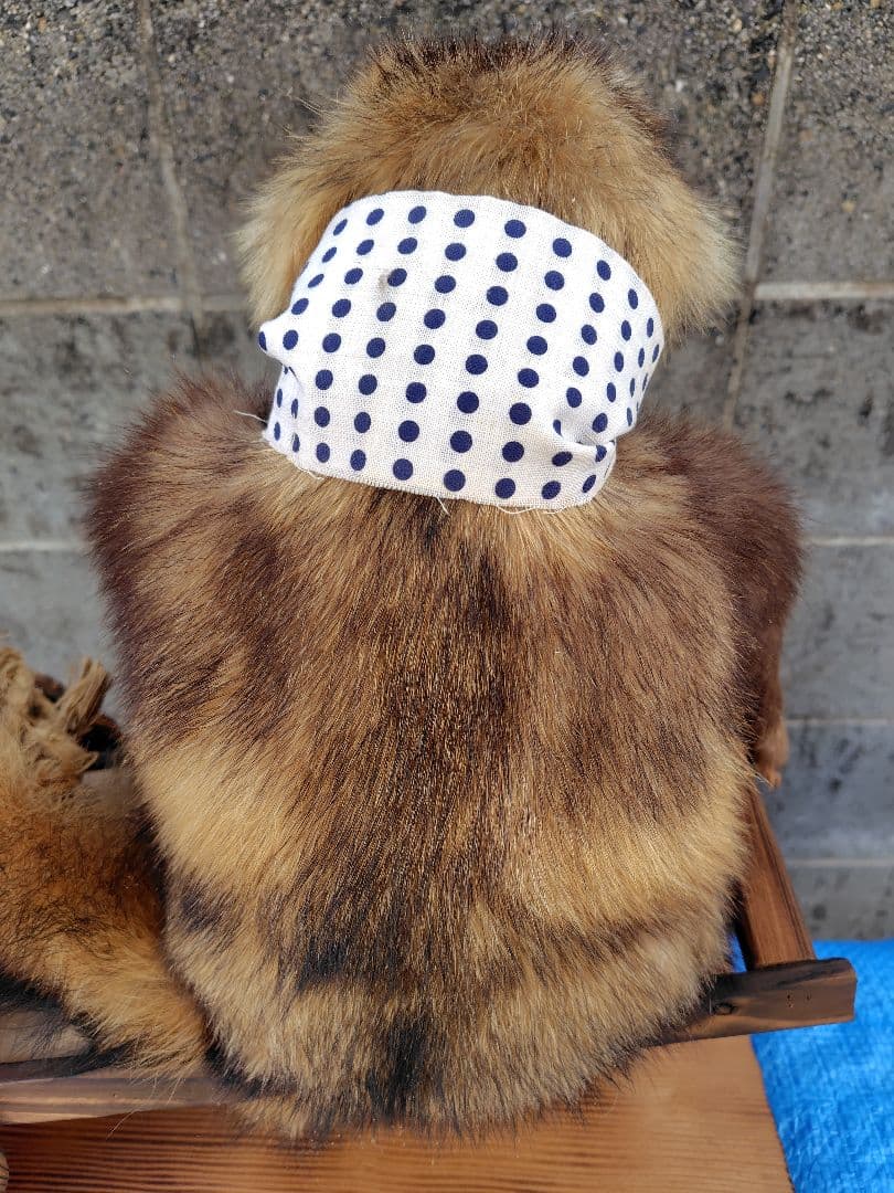 タヌキの剥製 置物 台車付き（俵）