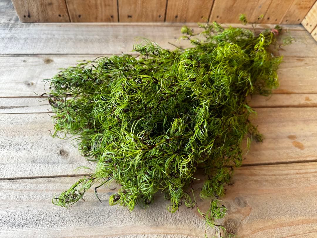 Nana-pooh【プロフ必読】様 リクエスト 4点 まとめ商品