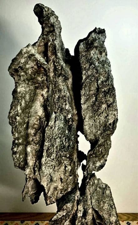 3896 時代の古い太湖石 銘『大鵬』太湖石 高53(cm) 6.68kg