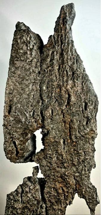 3896 時代の古い太湖石 銘『大鵬』太湖石 高53(cm) 6.68kg