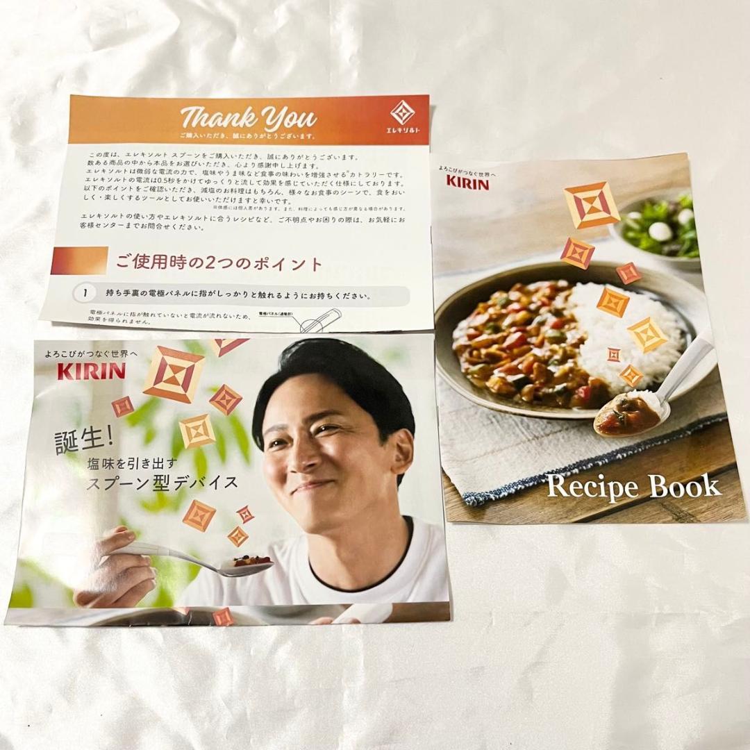 【新品未開封】エレキソルトスプーン ES-S001 レシピブック 無塩カレー付き