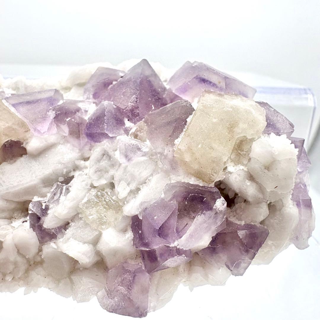 565 中国内モンゴル産　八面体フローライト&シェーライト