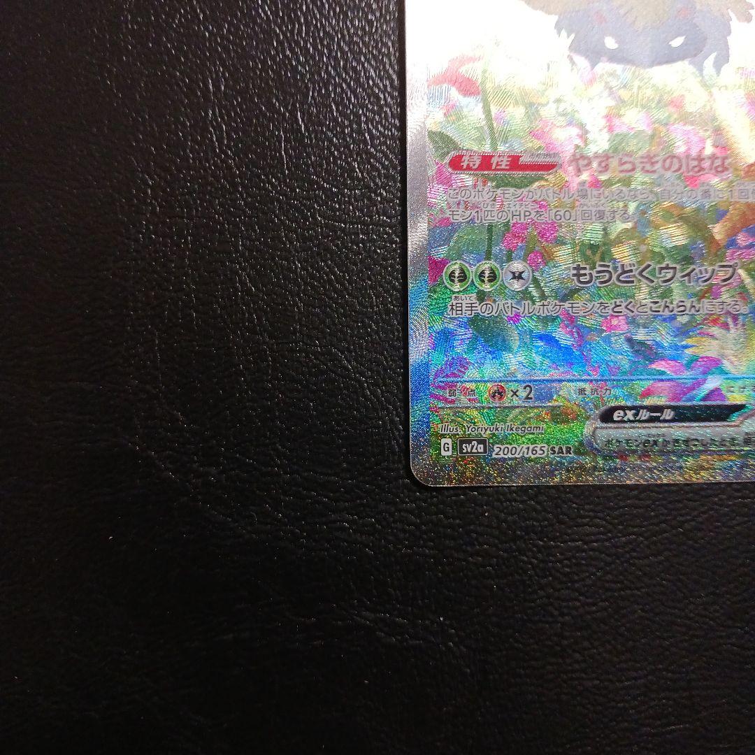 151シリーズ フシギバナ進化ラインセット - メルカリ