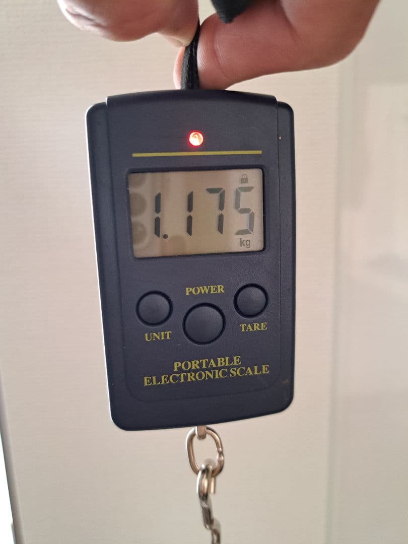 沖縄県産☆天然法螺貝