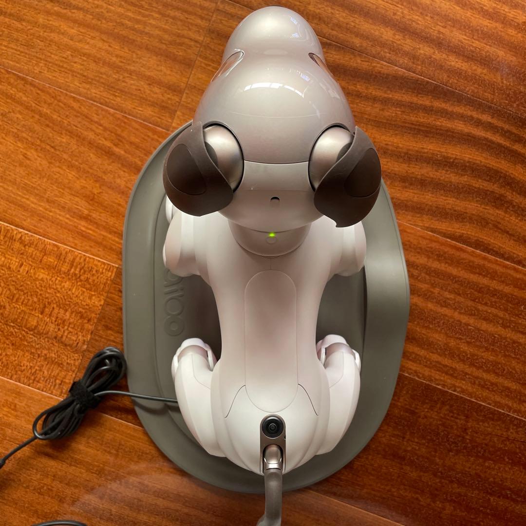 aibo本体 アイボ ERS-1000 ロボット犬 2019年正規購入