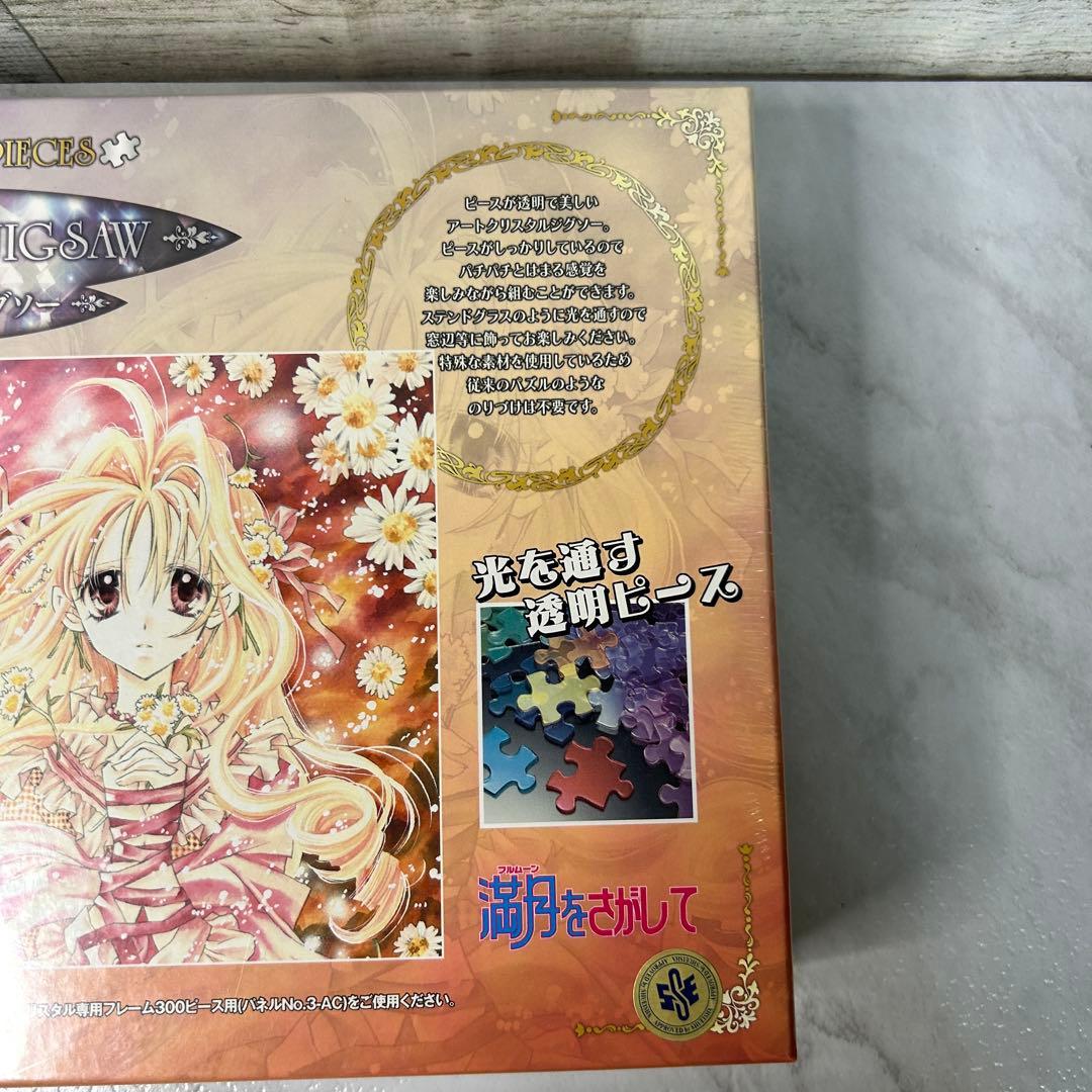 アートクリスタルジグソーパズル 300P 満月をさがして 種村有菜